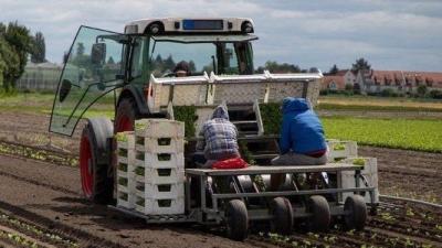Das Titelfoto der Studie Das Titelfoto der Studie